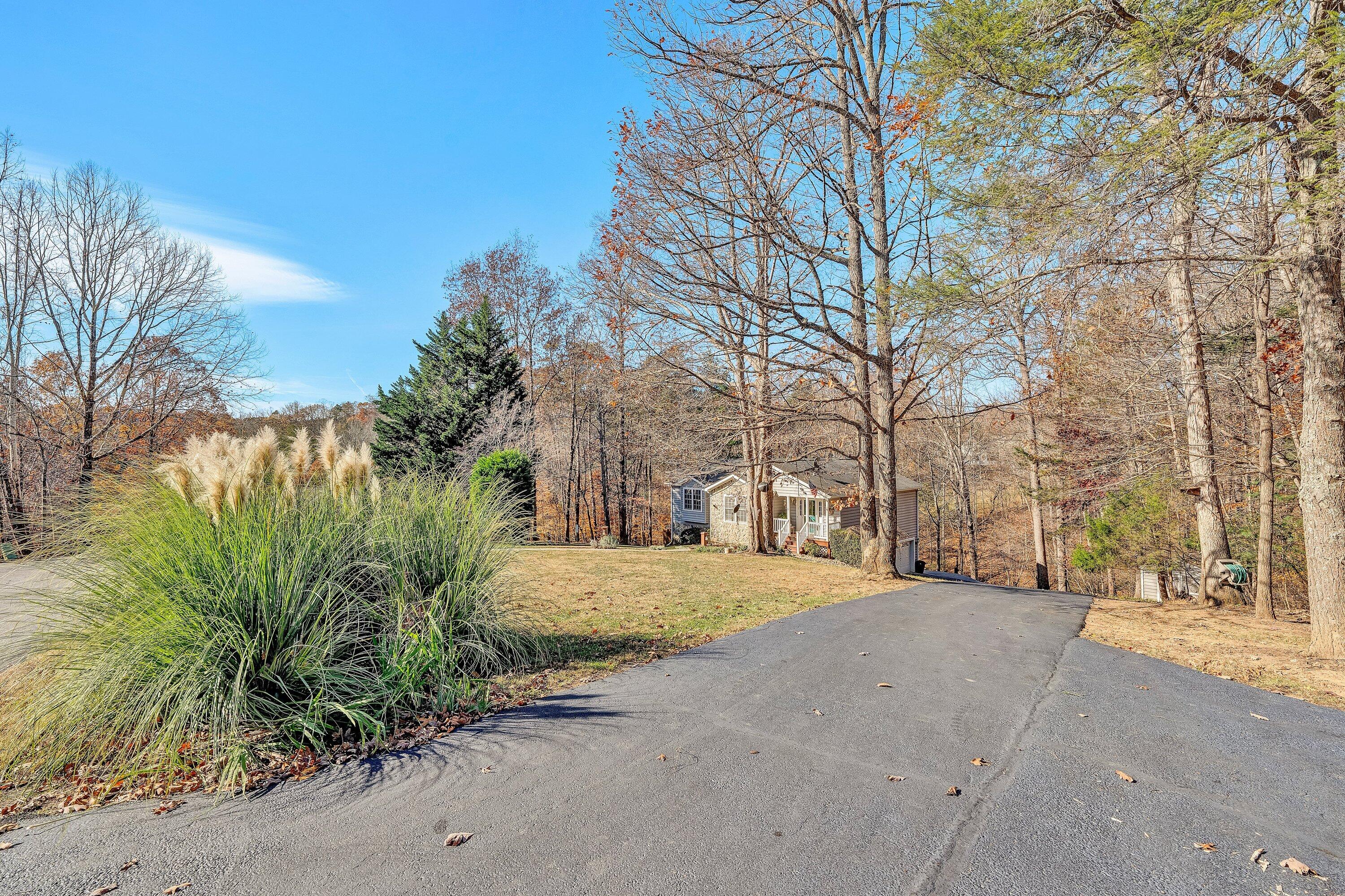 25 Walnut Landing Circle Hardy, VA 24101 - Photo 51 of 56 a road view with large trees