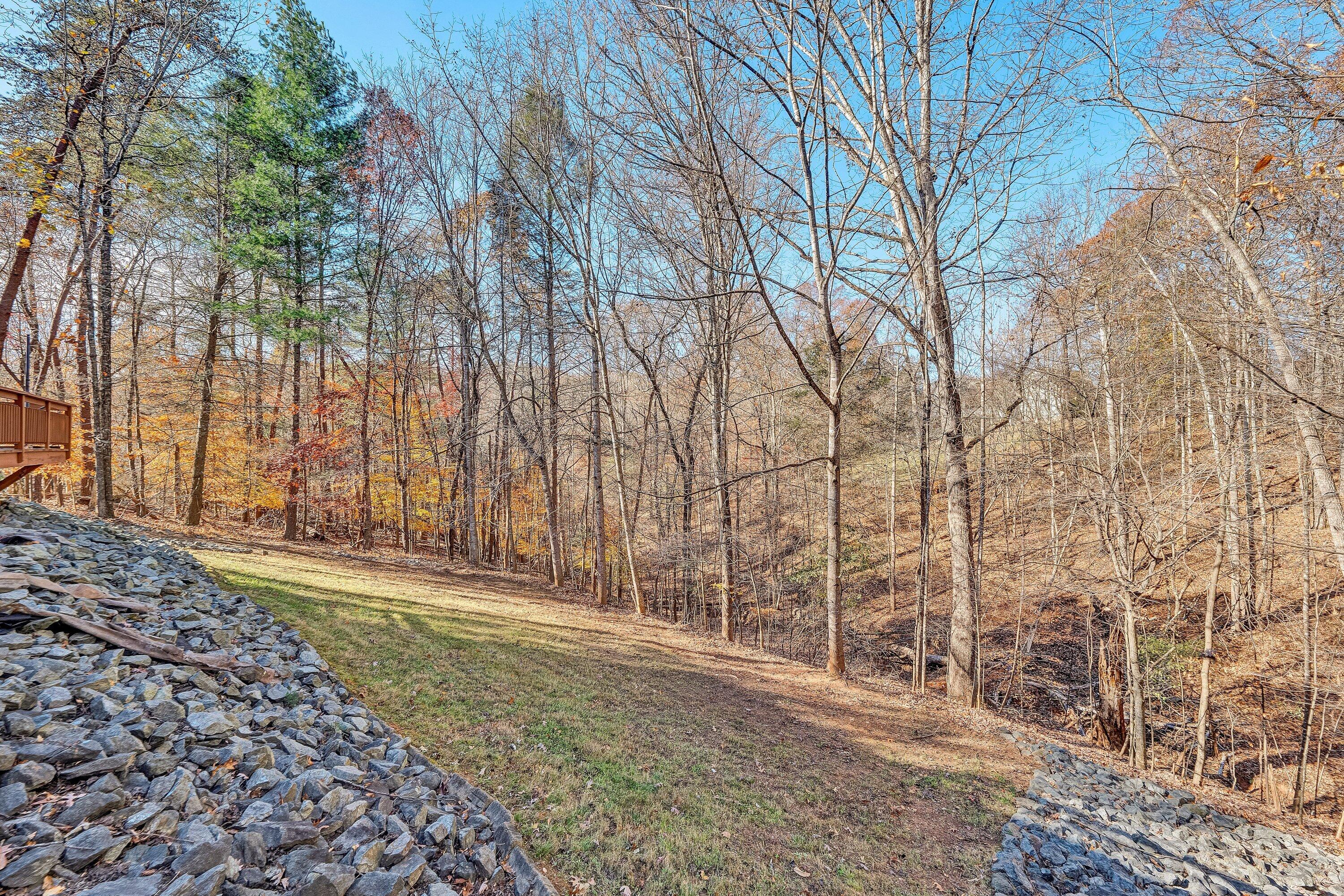 25 Walnut Landing Circle Hardy, VA 24101 - Photo 53 of 56 a backyard of a house with lots of green space