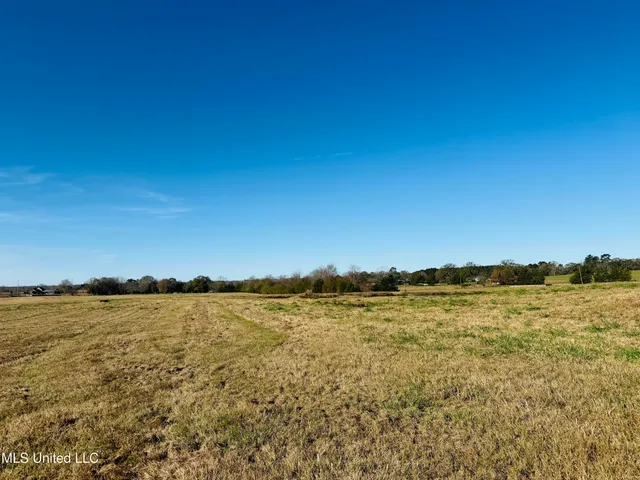 $2,250,000 | 35 Mississippi, Kosciusko, MS 39090