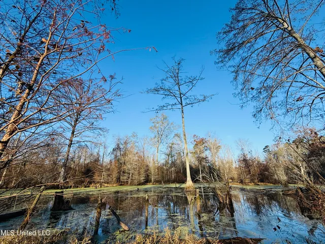 $2,250,000 | 35 Mississippi, Kosciusko, MS 39090