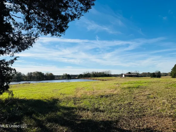 $2,250,000 | 35 Mississippi, Kosciusko, MS 39090