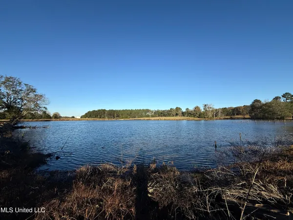 $2,250,000 | 35 Mississippi, Kosciusko, MS 39090