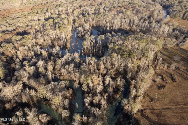 $2,250,000 | 35 Mississippi, Kosciusko, MS 39090