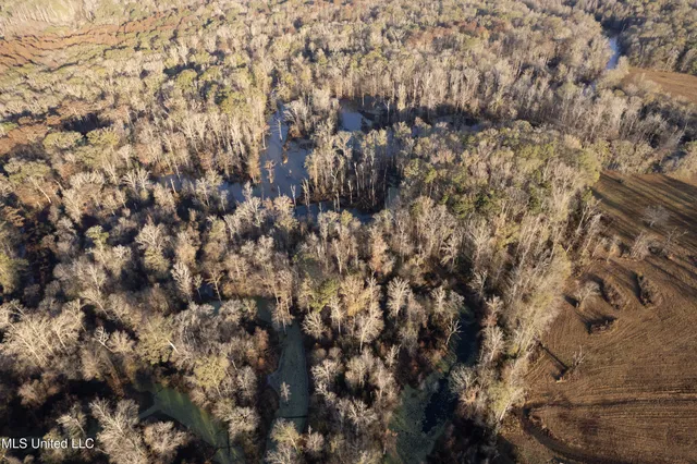 $2,250,000 | 35 Mississippi, Kosciusko, MS 39090