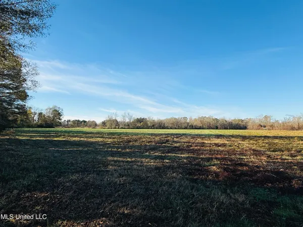 $2,250,000 | 35 Mississippi, Kosciusko, MS 39090