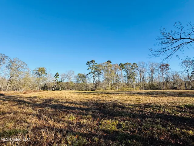 $2,250,000 | 35 Mississippi, Kosciusko, MS 39090