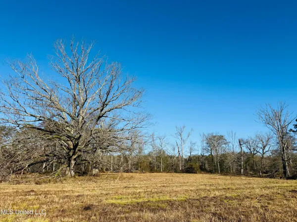 $2,250,000 | 35 Mississippi, Kosciusko, MS 39090