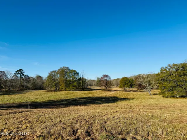 $2,250,000 | 35 Mississippi, Kosciusko, MS 39090