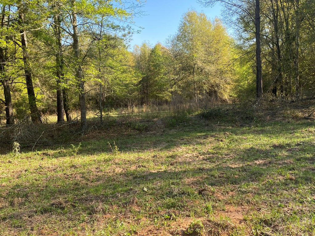 0 Co Road Abbeville, AL 36310 - Photo 41 of 53