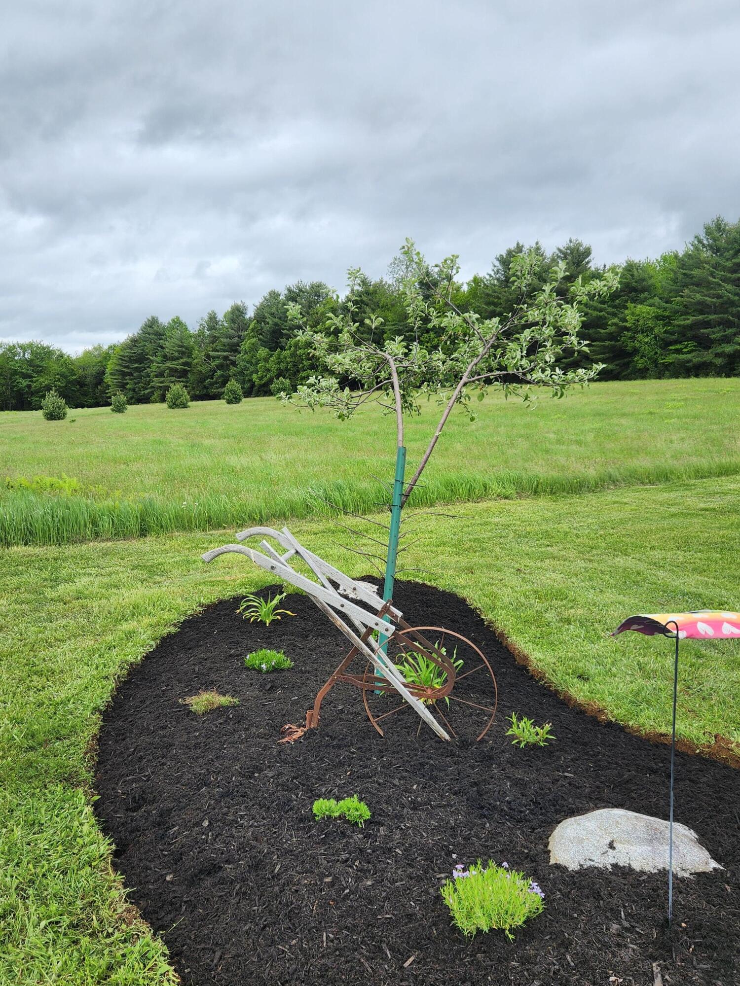 248 Lee Road Lincoln, ME 04457 - Photo 25 of 95 20250601_140850