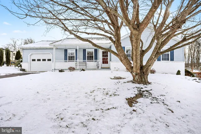 a large tree in front of a white house