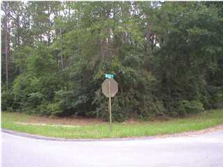 Xxx Wesley Road DeFuniak Springs, FL 32433 - Photo 1 of 2 a lamp is sitting in the middle of a yard