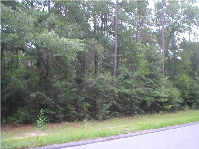 Xxx Wesley Road DeFuniak Springs, FL 32433 - Photo 2 of 2 a view of a yard with a trees