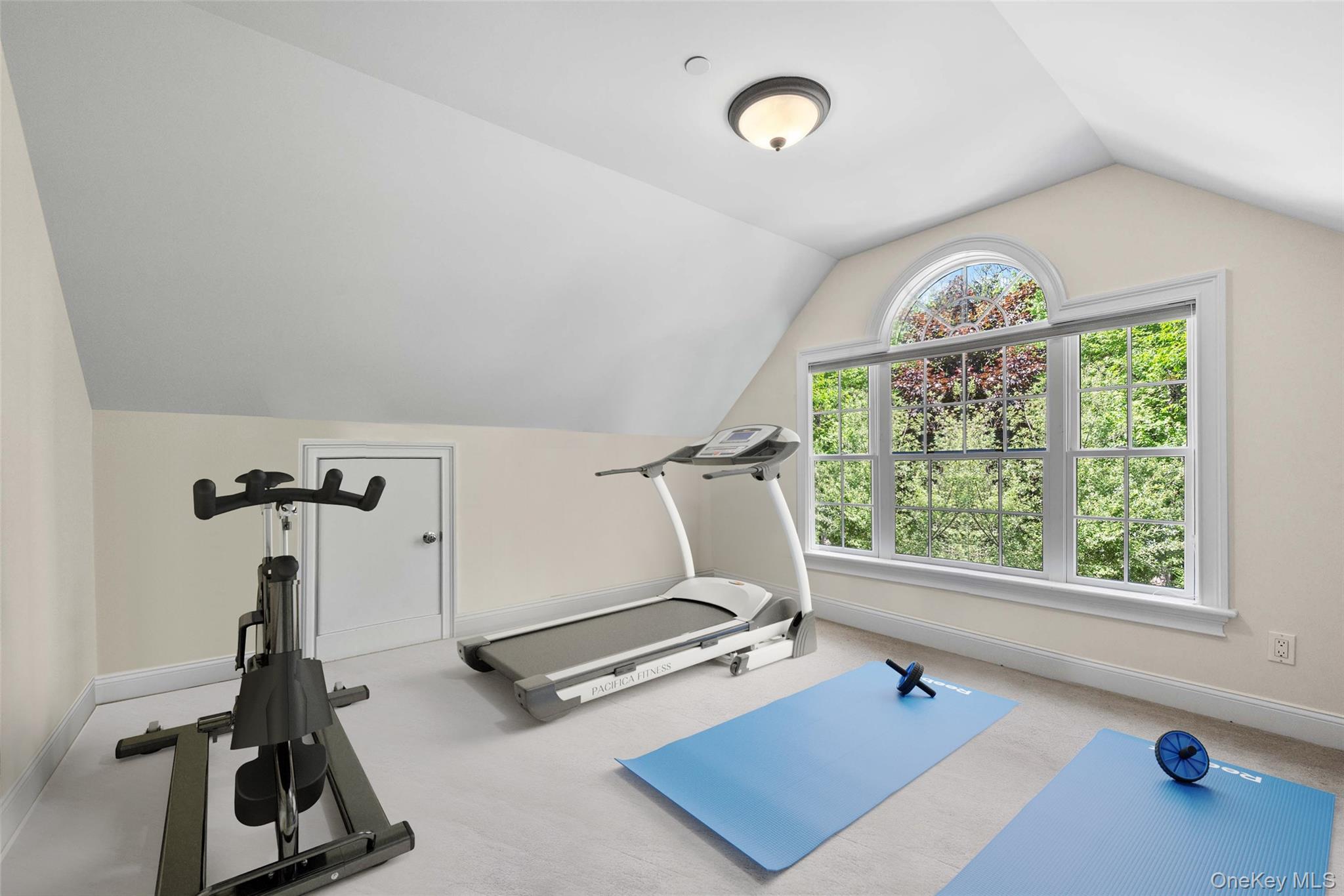 7 Farm Hollow Road Cornwall, NY 12553 - Photo 26 of 45 The bonus room is used for a home gym.