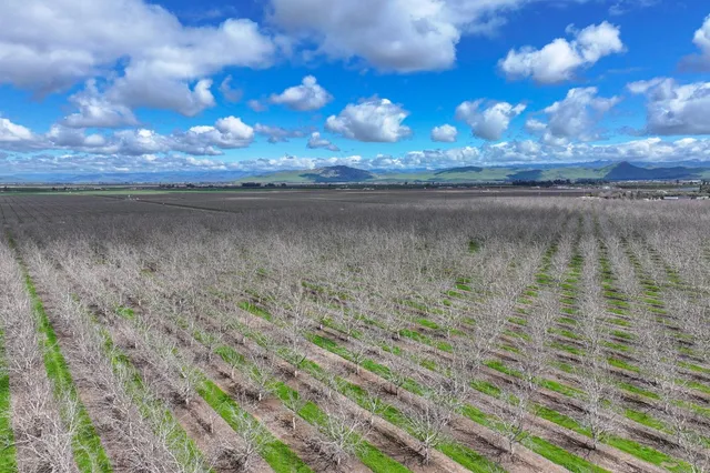 $4,095,000 | 18995 Ave 232, Lindsay, CA 93247