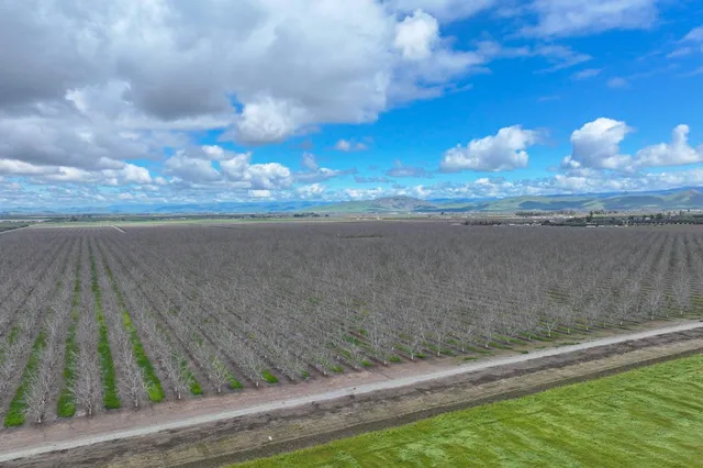 $4,095,000 | 18995 Ave 232, Lindsay, CA 93247