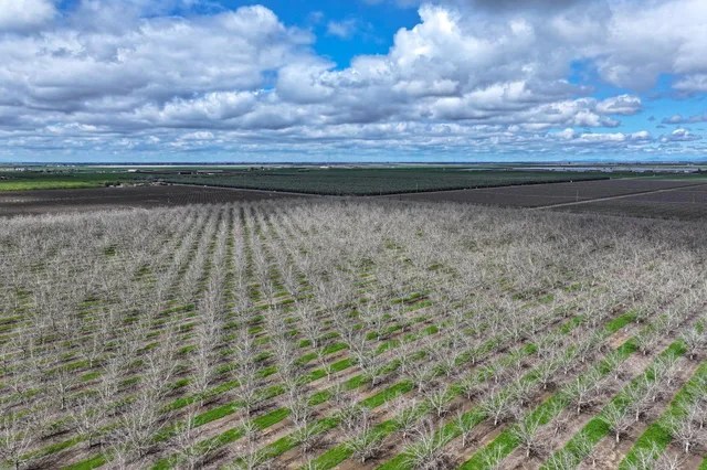 $4,095,000 | 18995 Ave 232, Lindsay, CA 93247