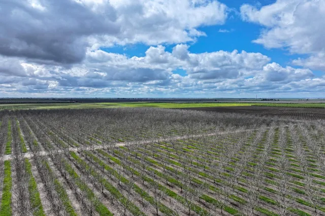 $4,095,000 | 18995 Ave 232, Lindsay, CA 93247