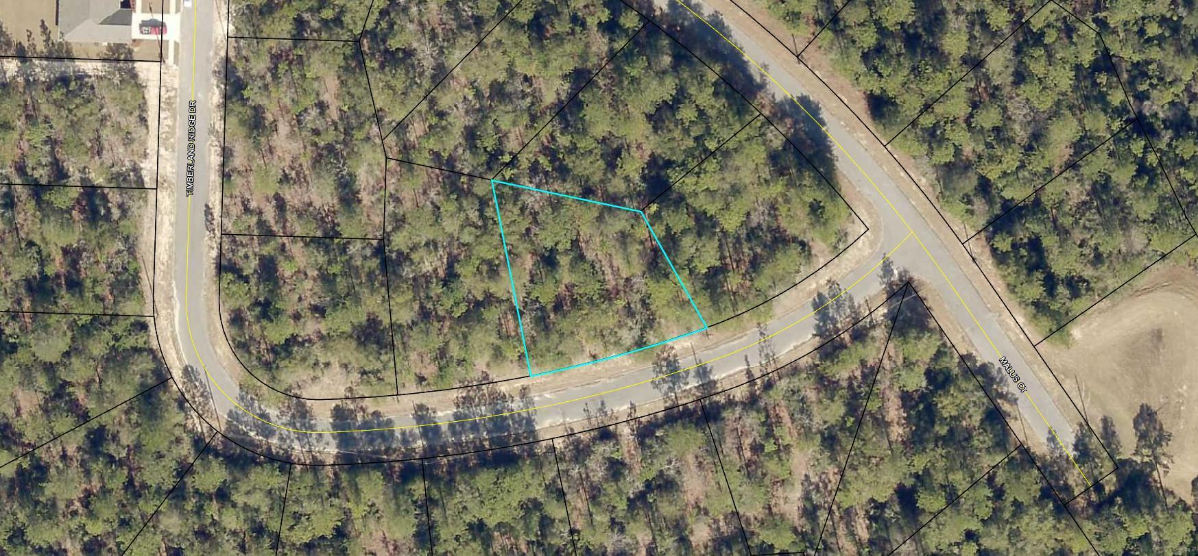 6193 Timberland Ridge Drive Crestview, FL 32539 - Photo 35 of 37 a view of a forest