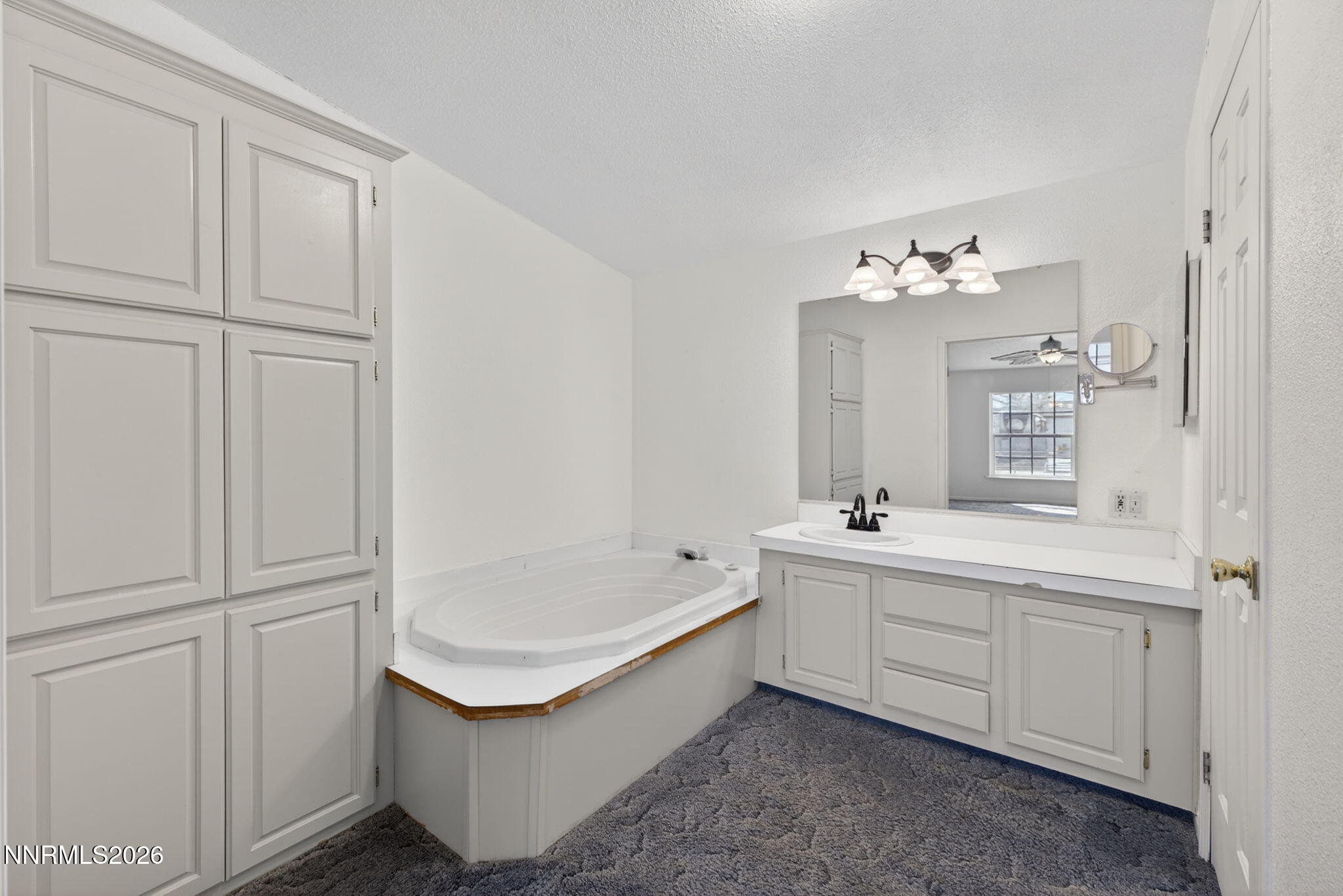 172 Rose Peak Road Dayton, NV 89403 - Photo 31 of 56 31-web-or-mls-172 Rose Peak-31