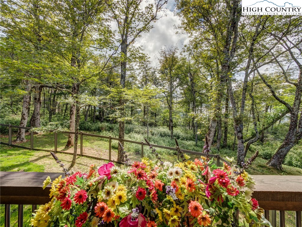 137 Green Cliffs Road Sugar Mountain, NC 28604 - Photo 45 of 48