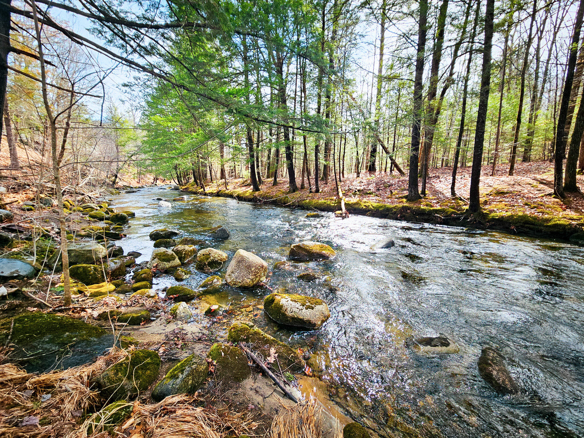 922 Weld Road Wilton, ME 04294 - Photo 15 of 53 20260414_093846-2