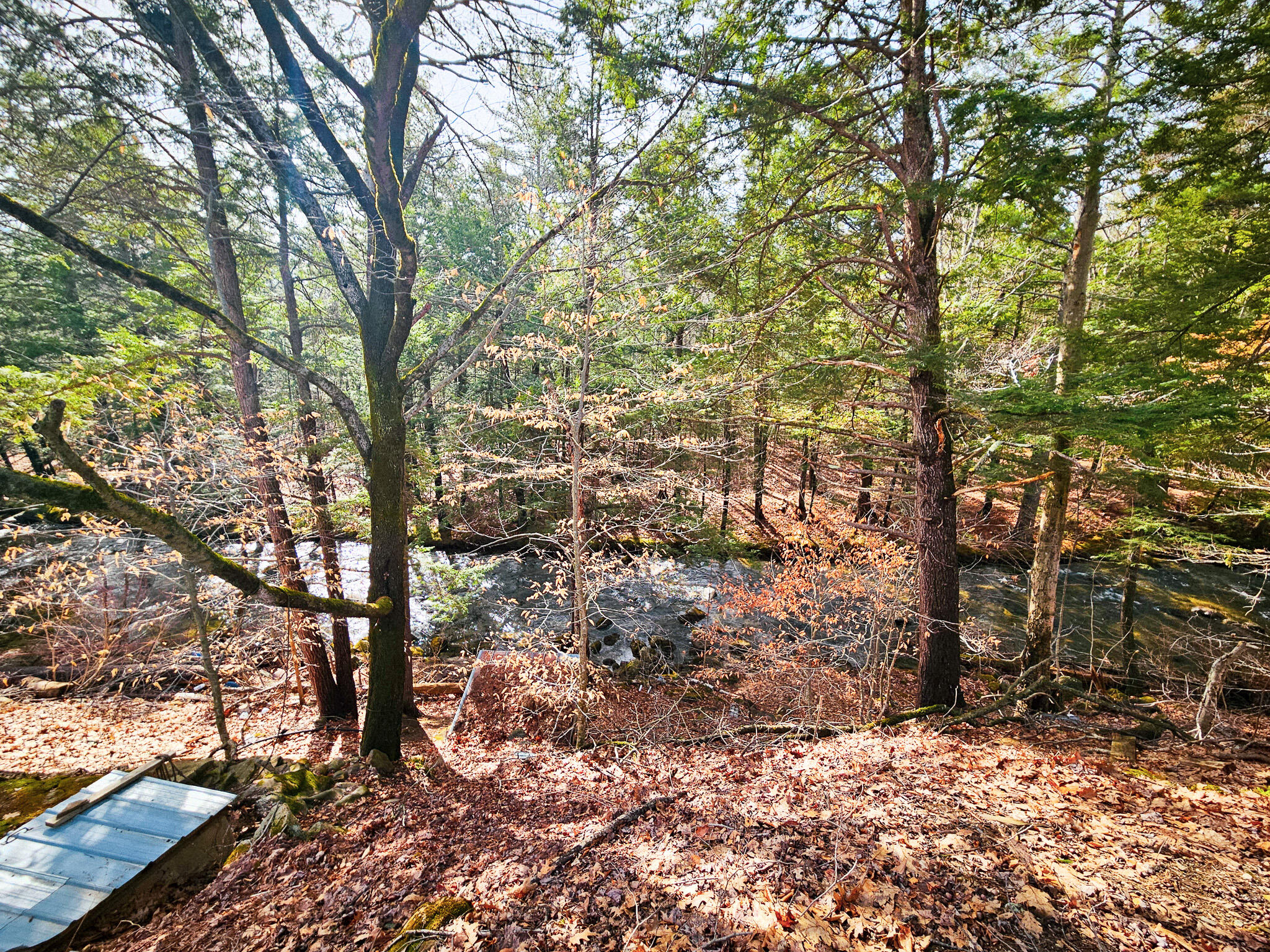 922 Weld Road Wilton, ME 04294 - Photo 17 of 53 20260414_093106-2