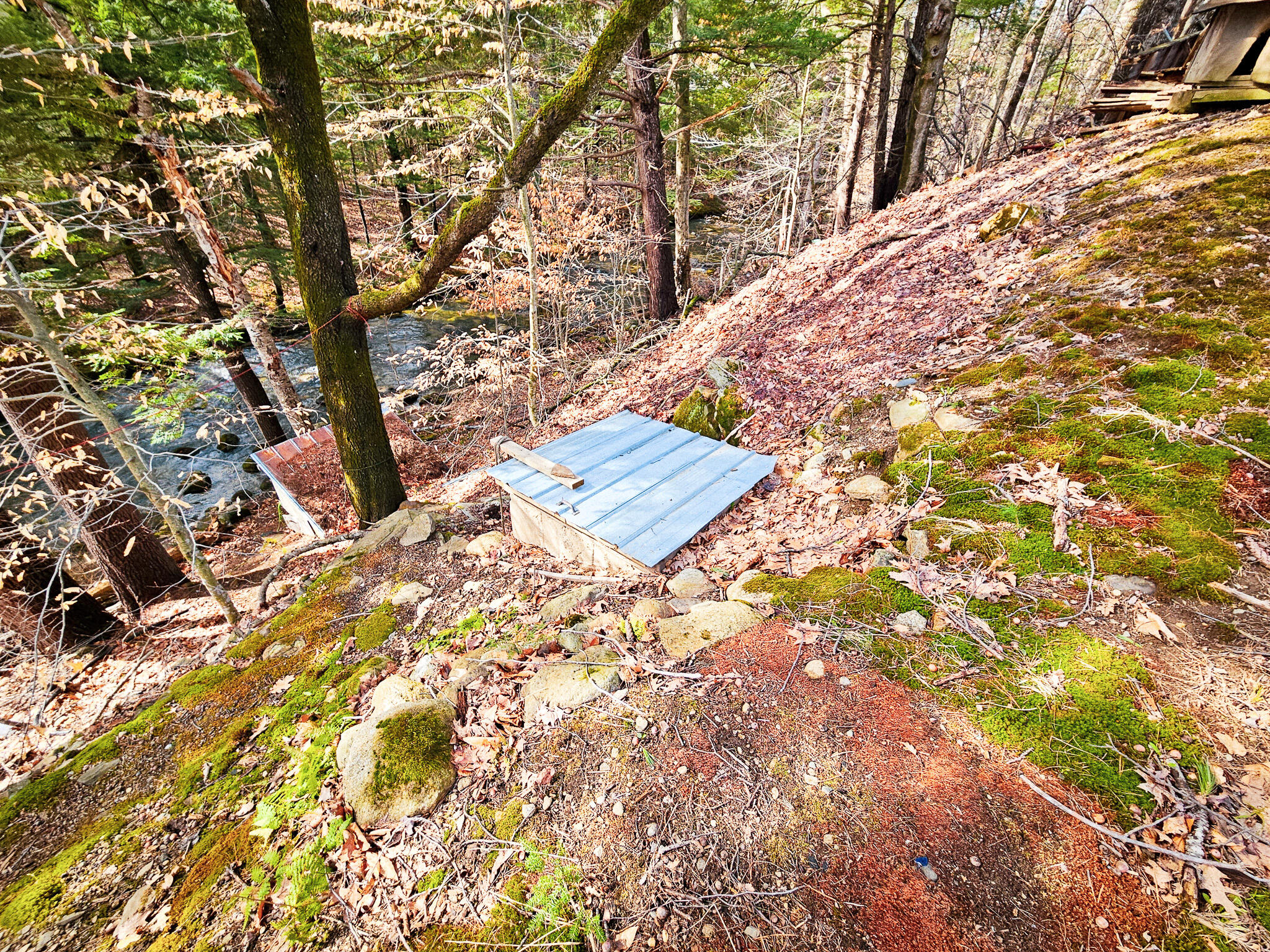 922 Weld Road Wilton, ME 04294 - Photo 18 of 53 20260414_093135-2