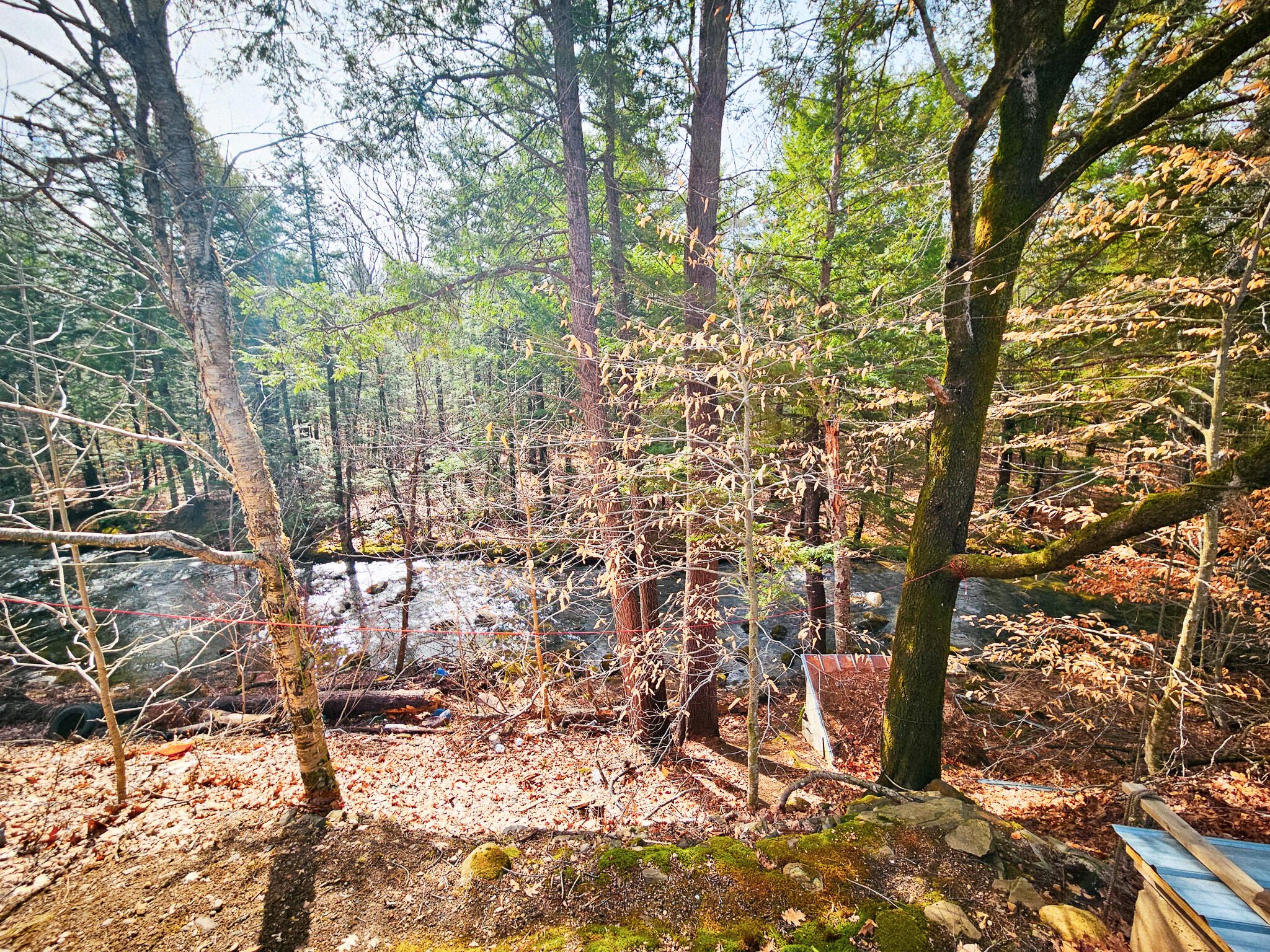 922 Weld Road Wilton, ME 04294 - Photo 20 of 53 20260414_093141-2