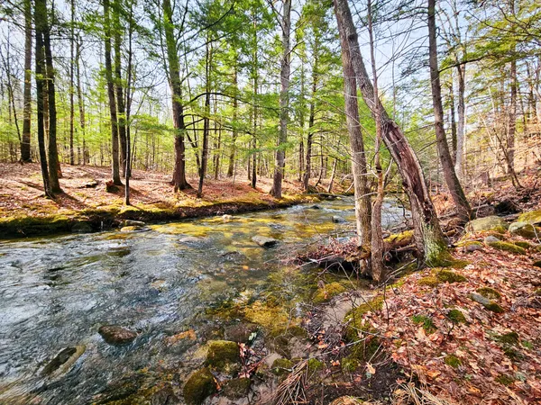 $125,000 | 922 Weld Road, Wilton, ME 04294