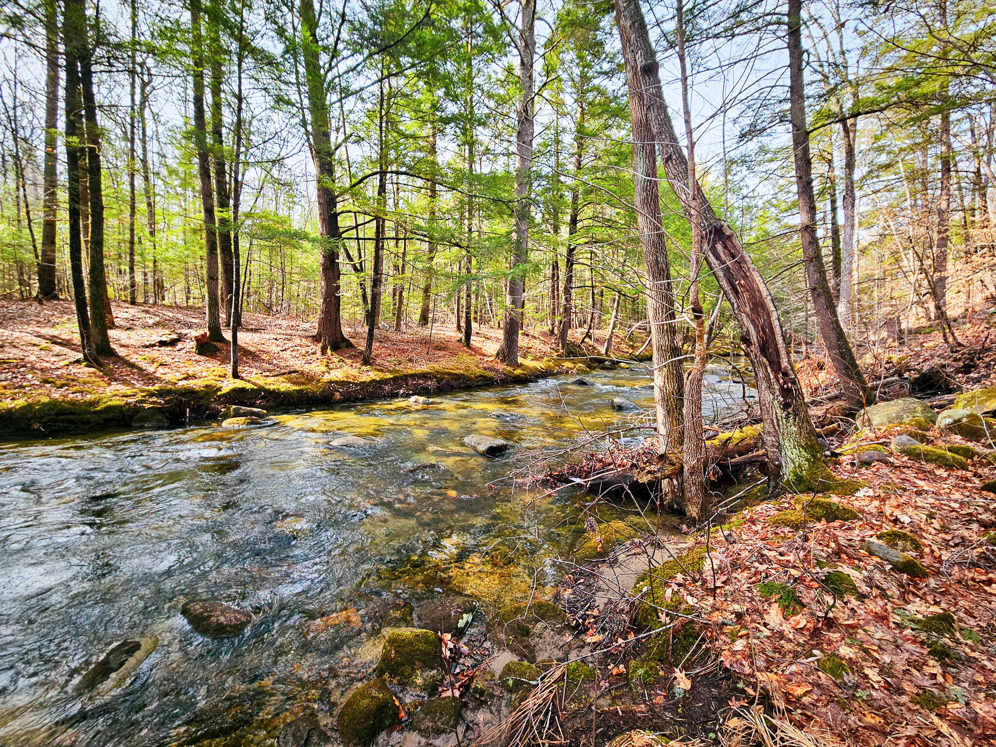 922 Weld Road Wilton, ME 04294 - Photo 2 of 53 20260414_093837-2