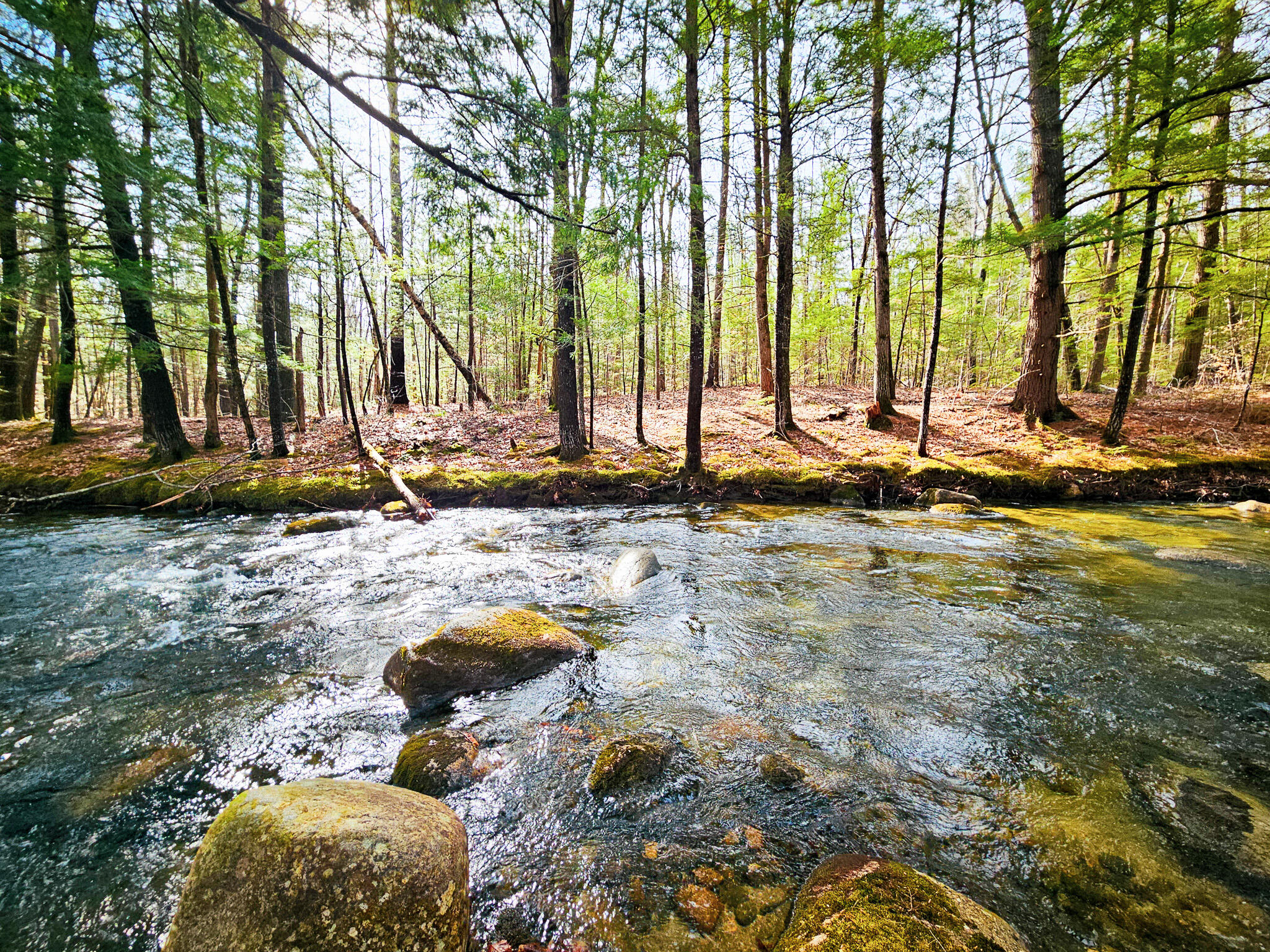 922 Weld Road Wilton, ME 04294 - Photo 3 of 53 20260414_093913-2