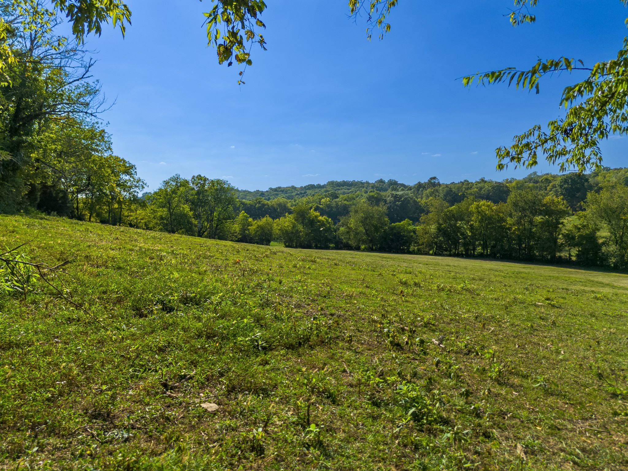 0 Hatchett Hollow Road Cornersville, TN 37047 - Photo 12 of 26 a view of a garden