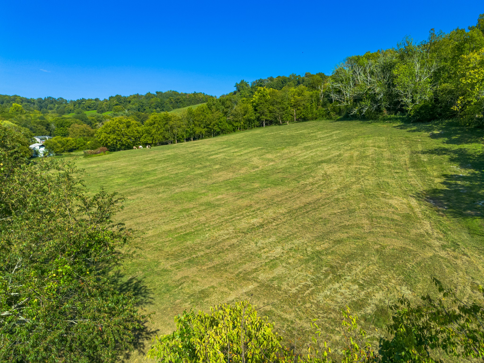 0 Hatchett Hollow Road Cornersville, TN 37047 - Photo 14 of 26 a view of a field with an ocean