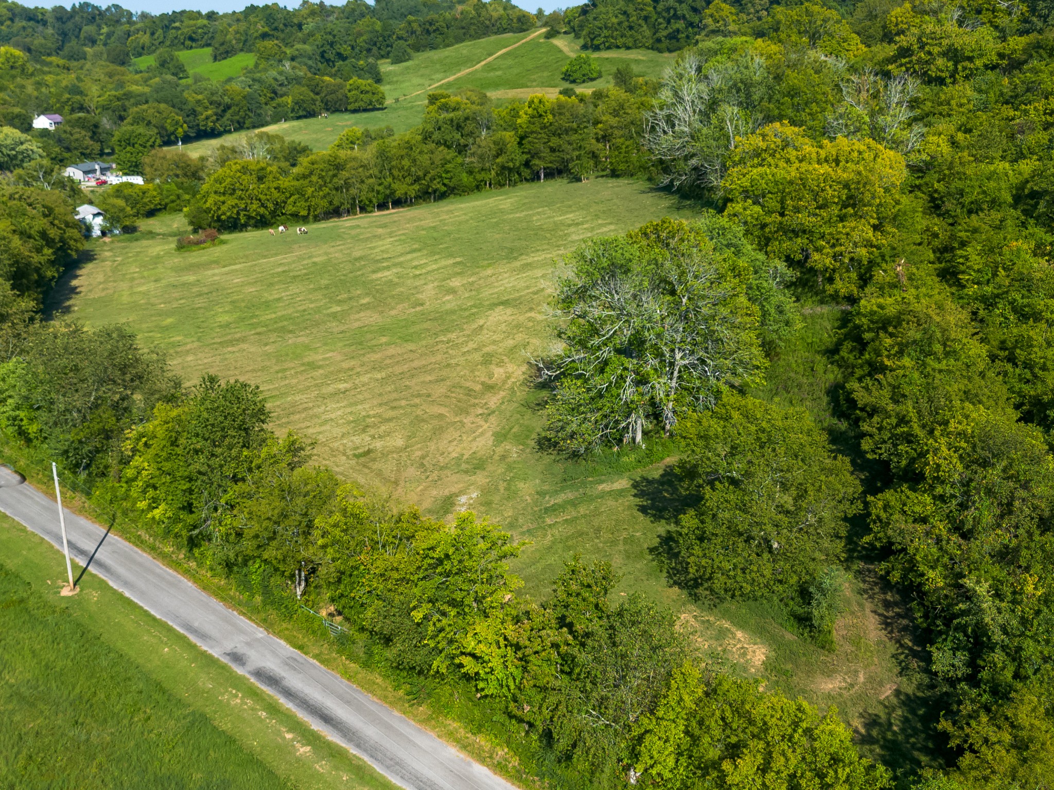 0 Hatchett Hollow Road Cornersville, TN 37047 - Photo 15 of 26 a view of a garden