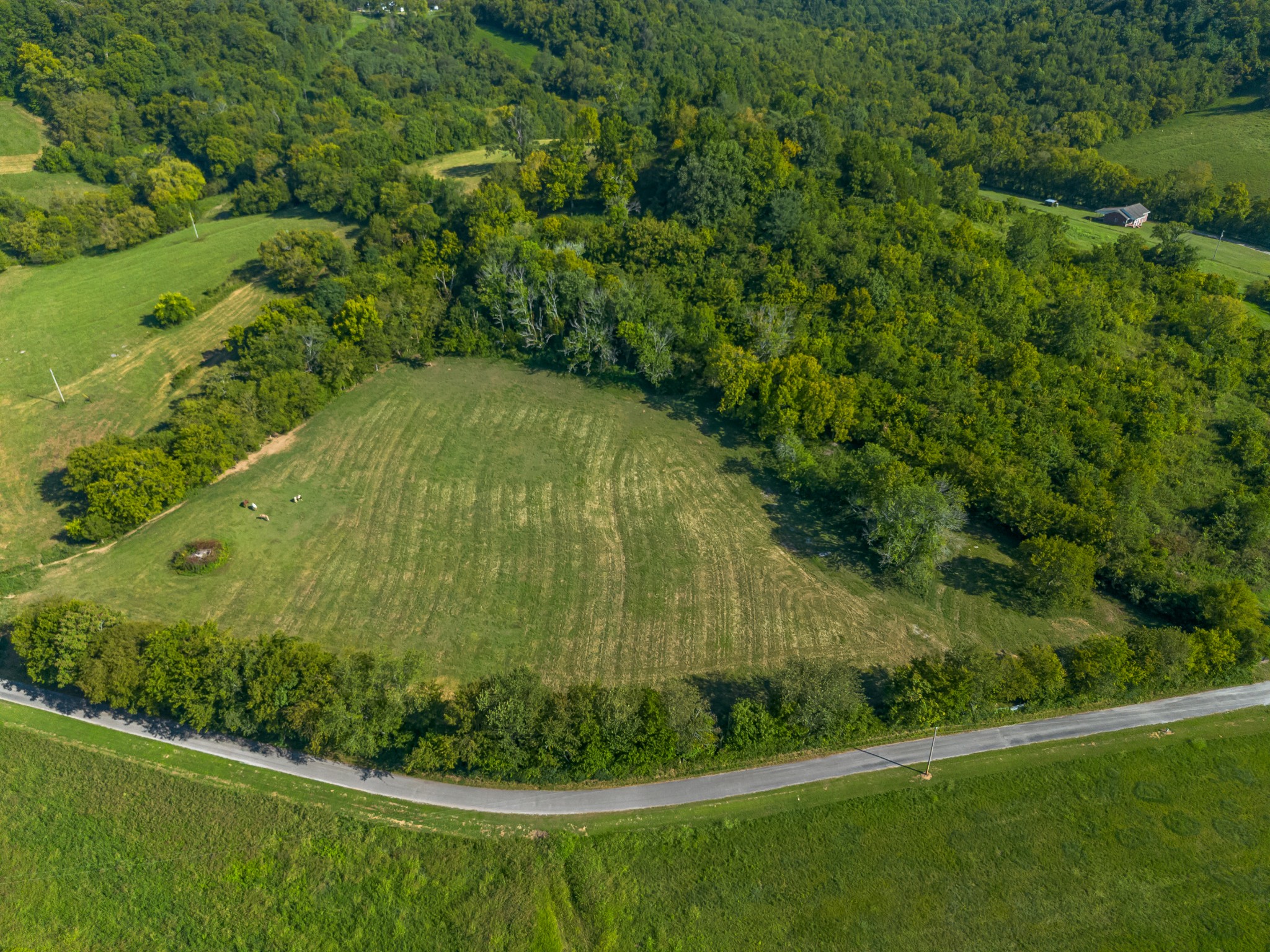0 Hatchett Hollow Road Cornersville, TN 37047 - Photo 16 of 26 a view of a garden