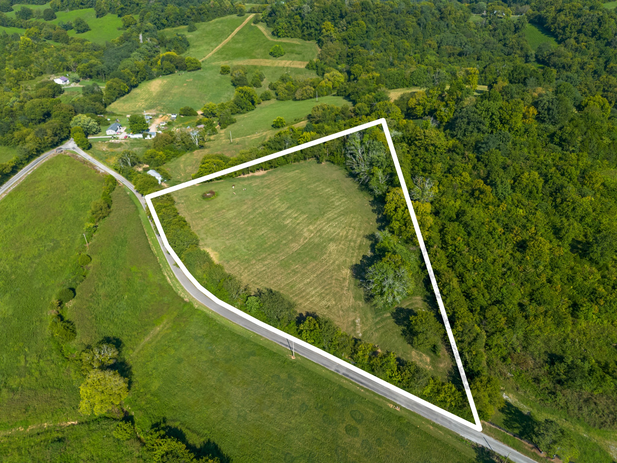 0 Hatchett Hollow Road Cornersville, TN 37047 - Photo 17 of 26 a view of a yard