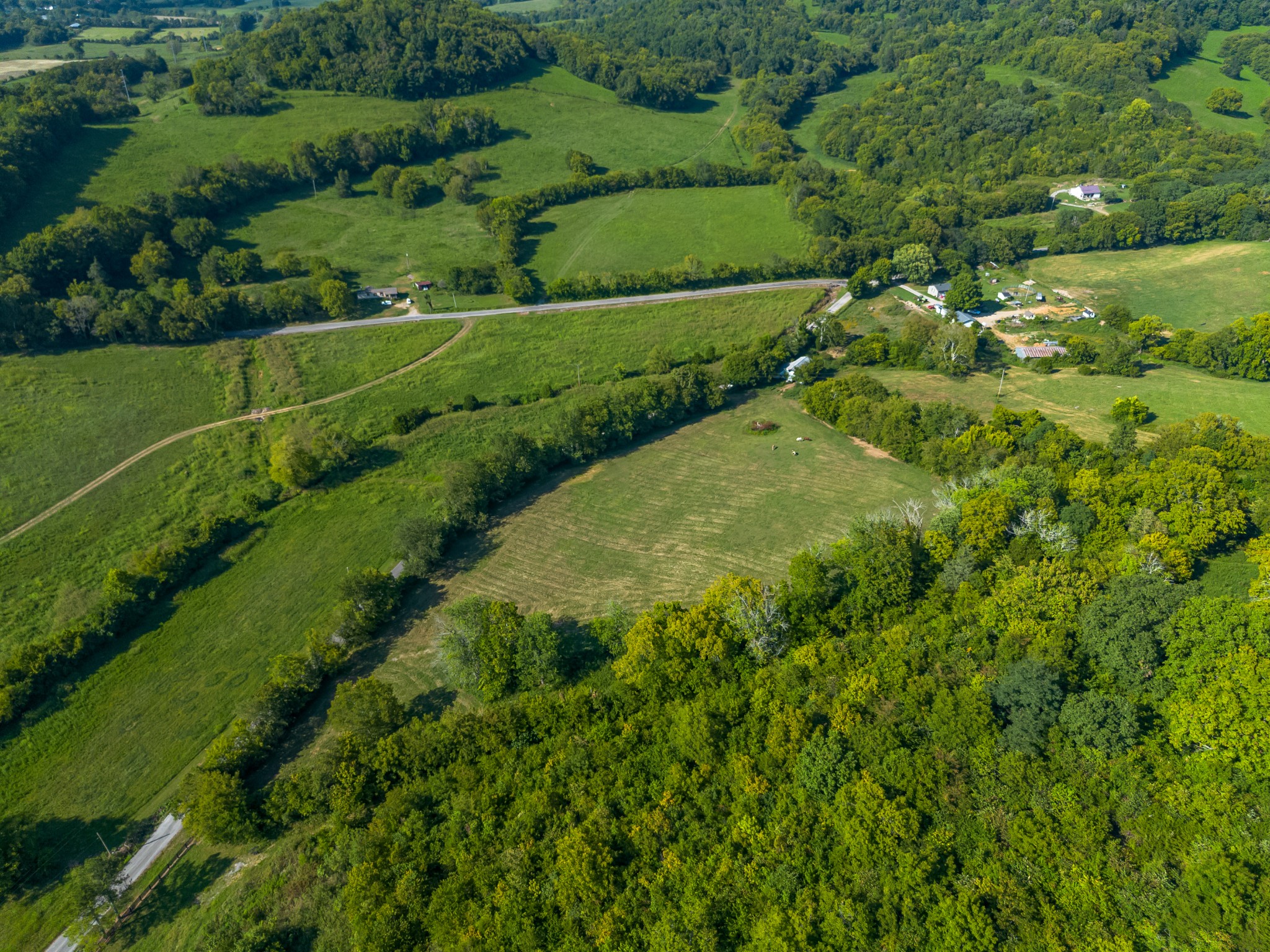 0 Hatchett Hollow Road Cornersville, TN 37047 - Photo 18 of 26 a view of a green field with lots of bushes