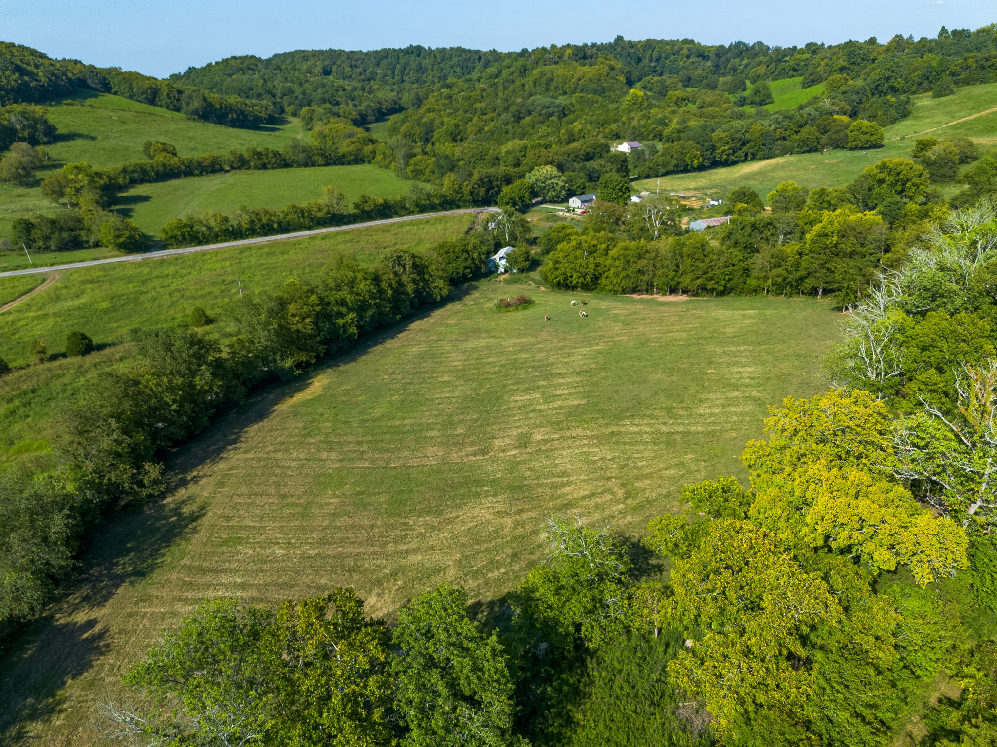 0 Hatchett Hollow Road Cornersville, TN 37047 - Photo 20 of 26 a view of a yard with an outdoor space
