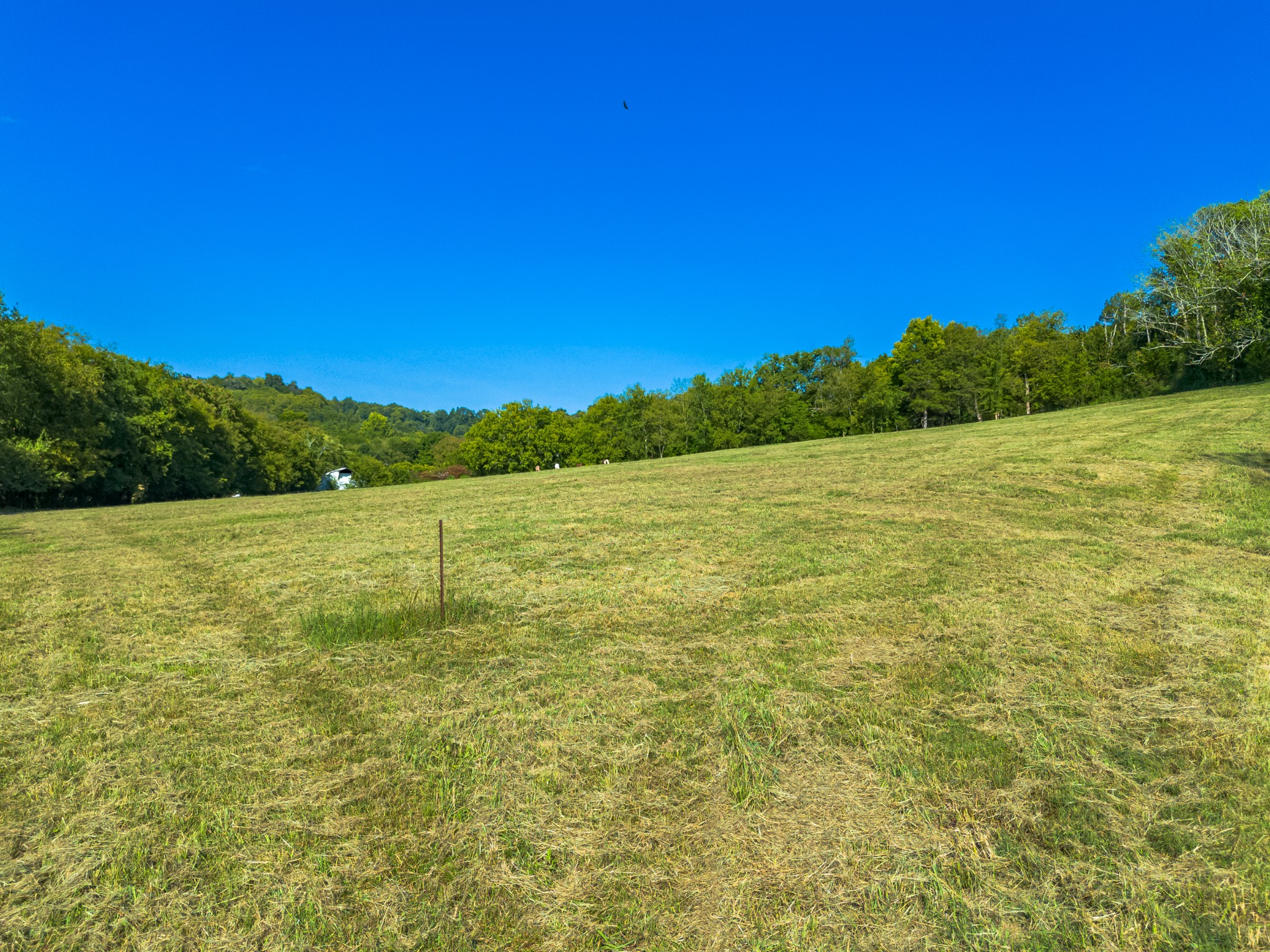 0 Hatchett Hollow Road Cornersville, TN 37047 - Photo 21 of 26 a view of an ocean from a yard