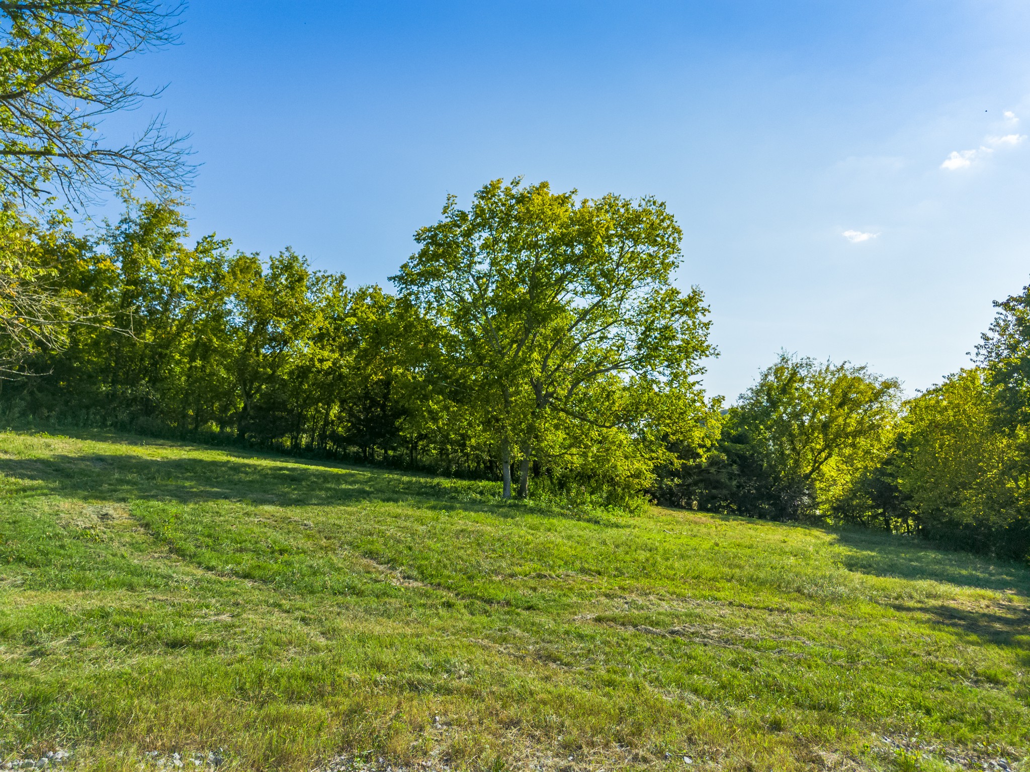 0 Hatchett Hollow Road Cornersville, TN 37047 - Photo 22 of 26 a view of a grassy field with trees