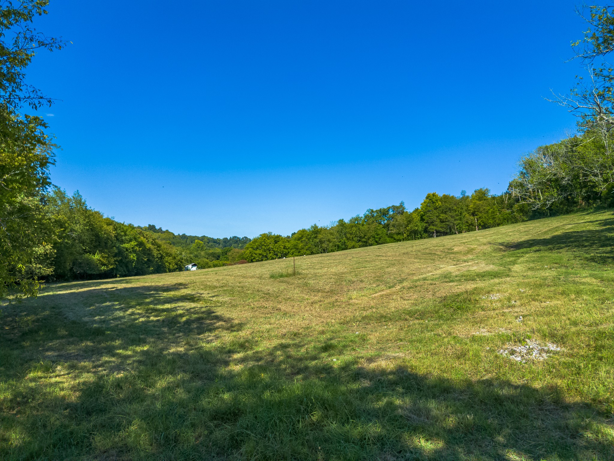 0 Hatchett Hollow Road Cornersville, TN 37047 - Photo 24 of 26 a view of an ocean from a yard