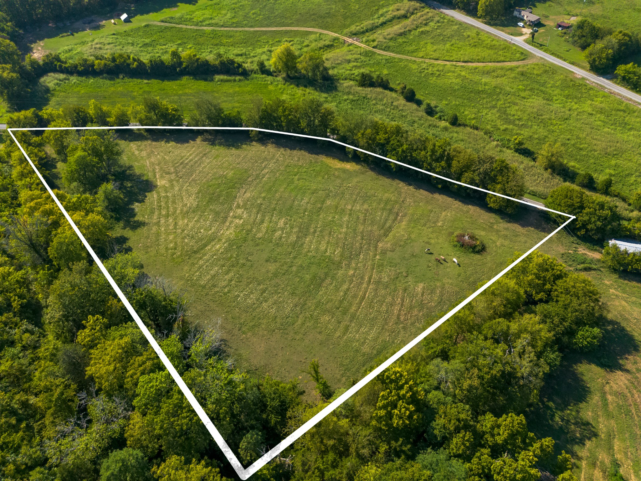 0 Hatchett Hollow Road Cornersville, TN 37047 - Photo 8 of 26 a view of a tennis court