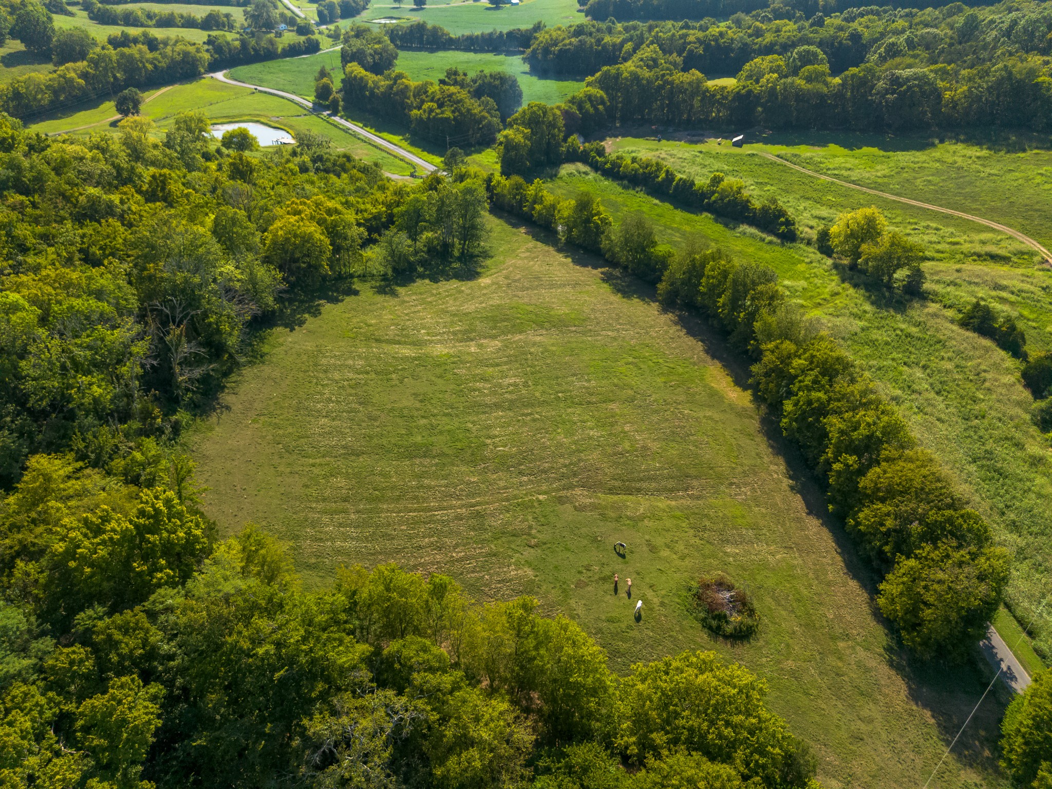 0 Hatchett Hollow Road Cornersville, TN 37047 - Photo 9 of 26 a view of a garden