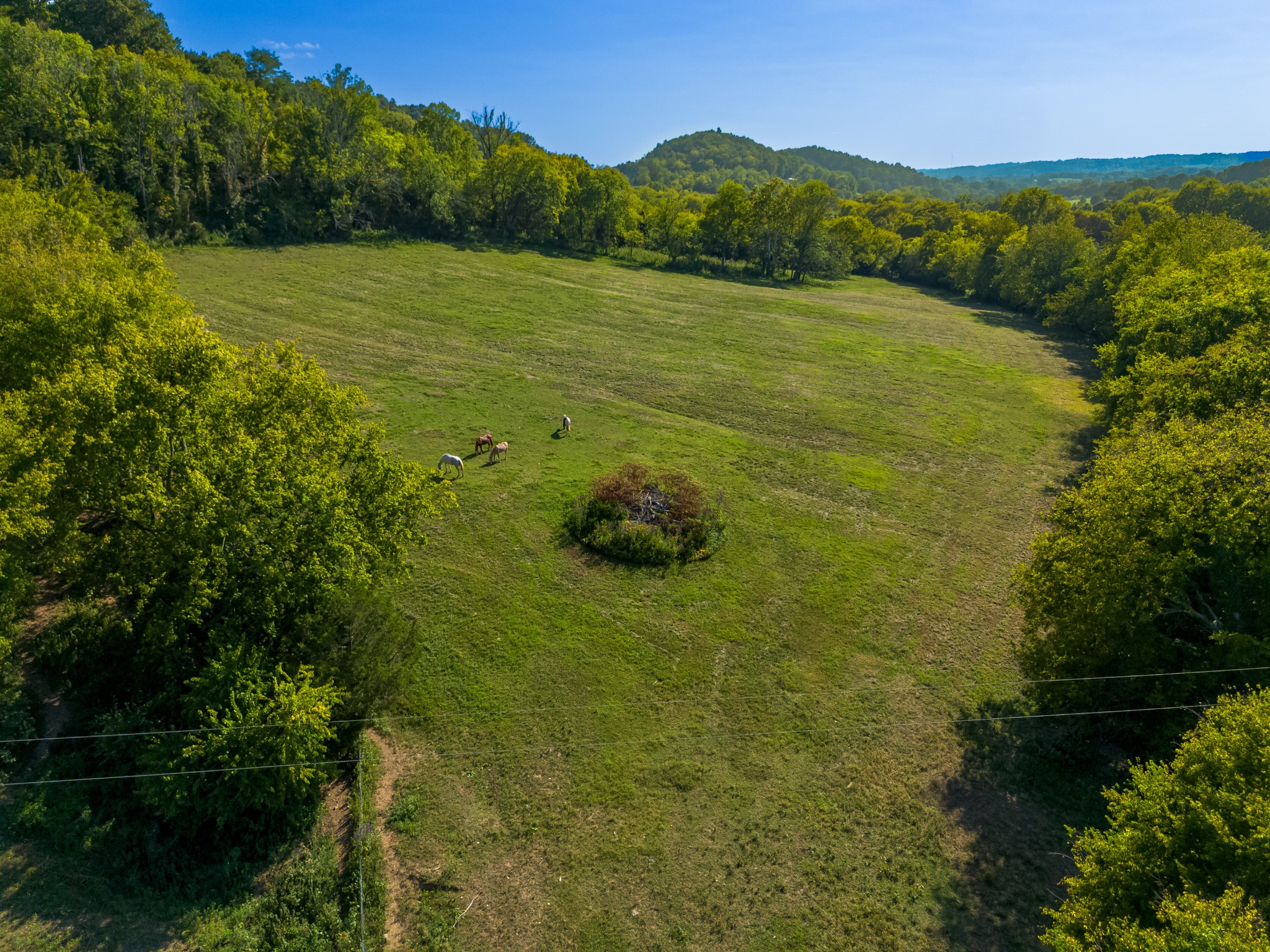 0 Hatchett Hollow Road Cornersville, TN 37047 - Photo 10 of 26 a view of a field with an ocean