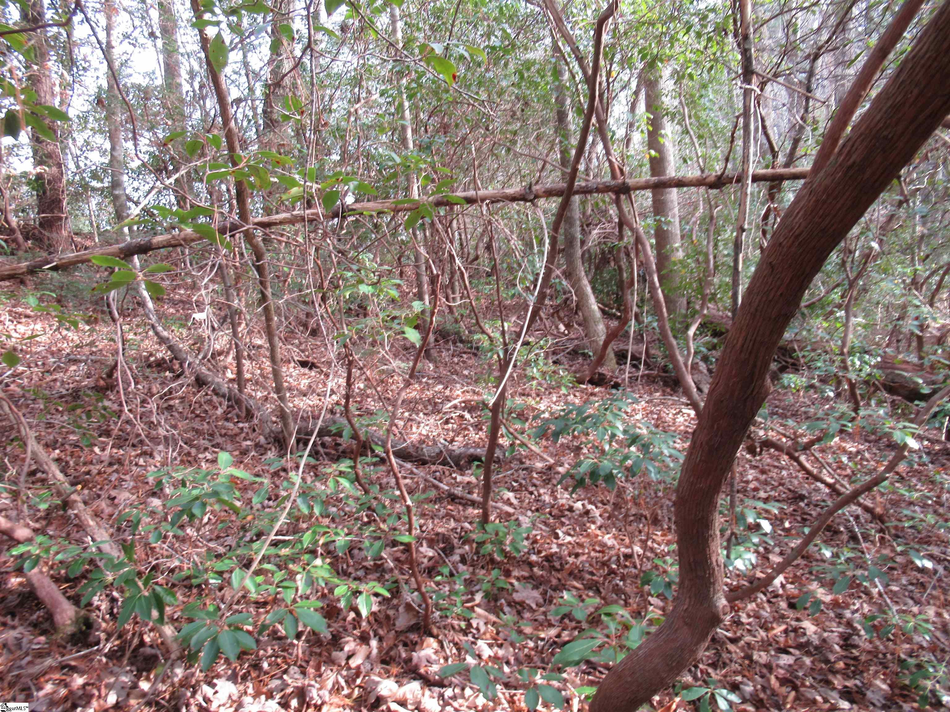 213 Falcon Crest Way Pickens, SC 29671 - Photo 11 of 25