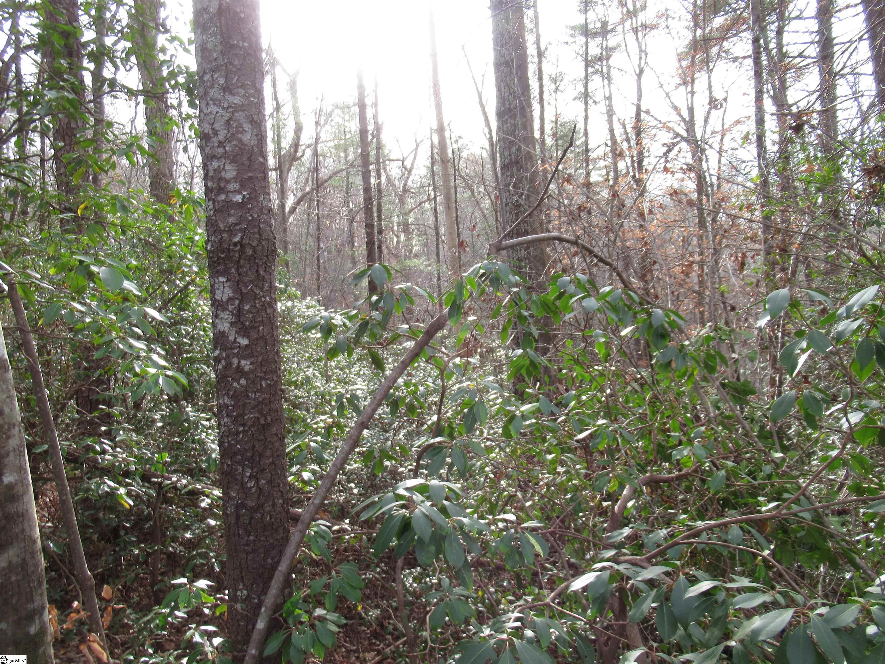 213 Falcon Crest Way Pickens, SC 29671 - Photo 3 of 25