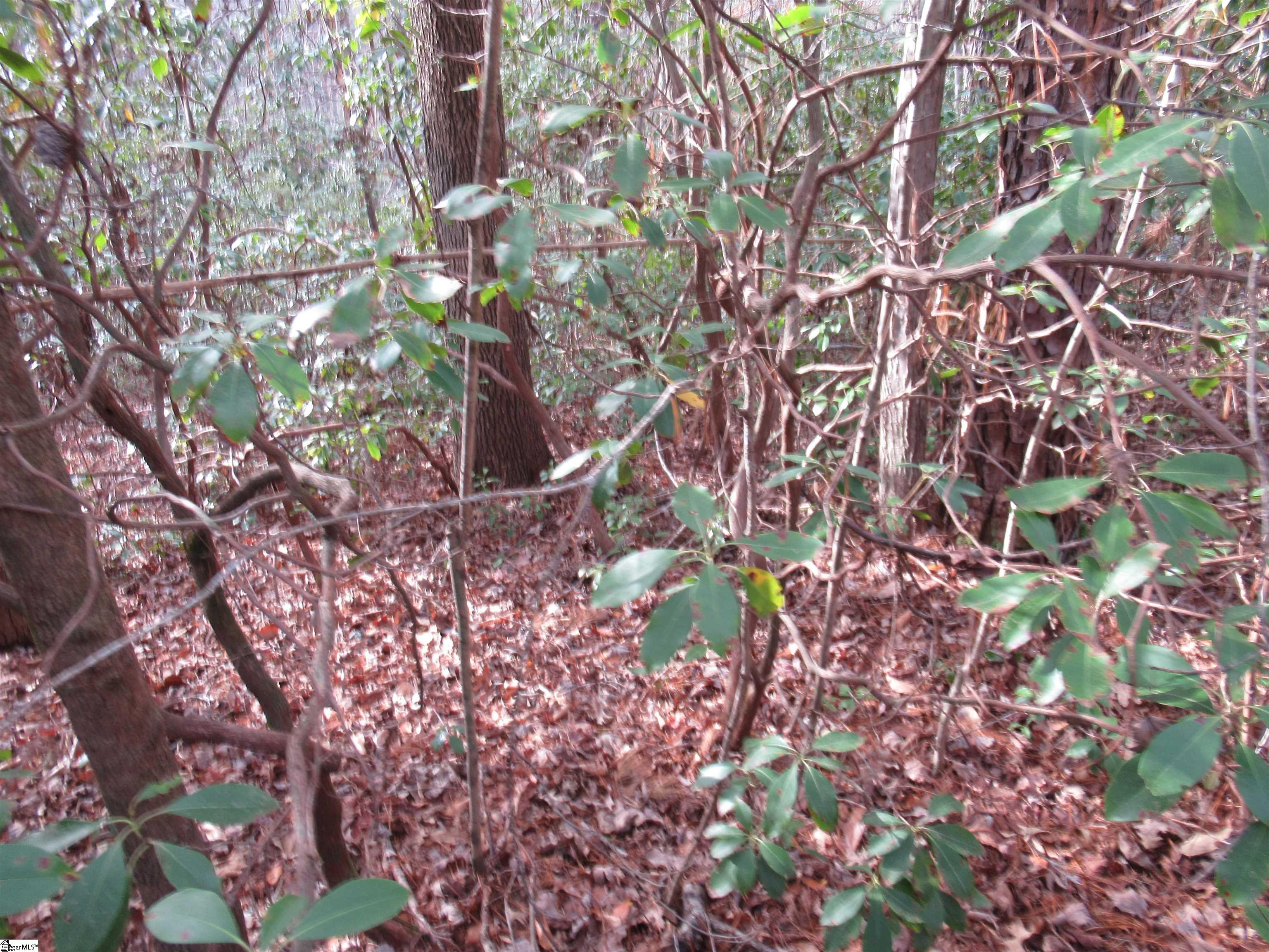 213 Falcon Crest Way Pickens, SC 29671 - Photo 5 of 25