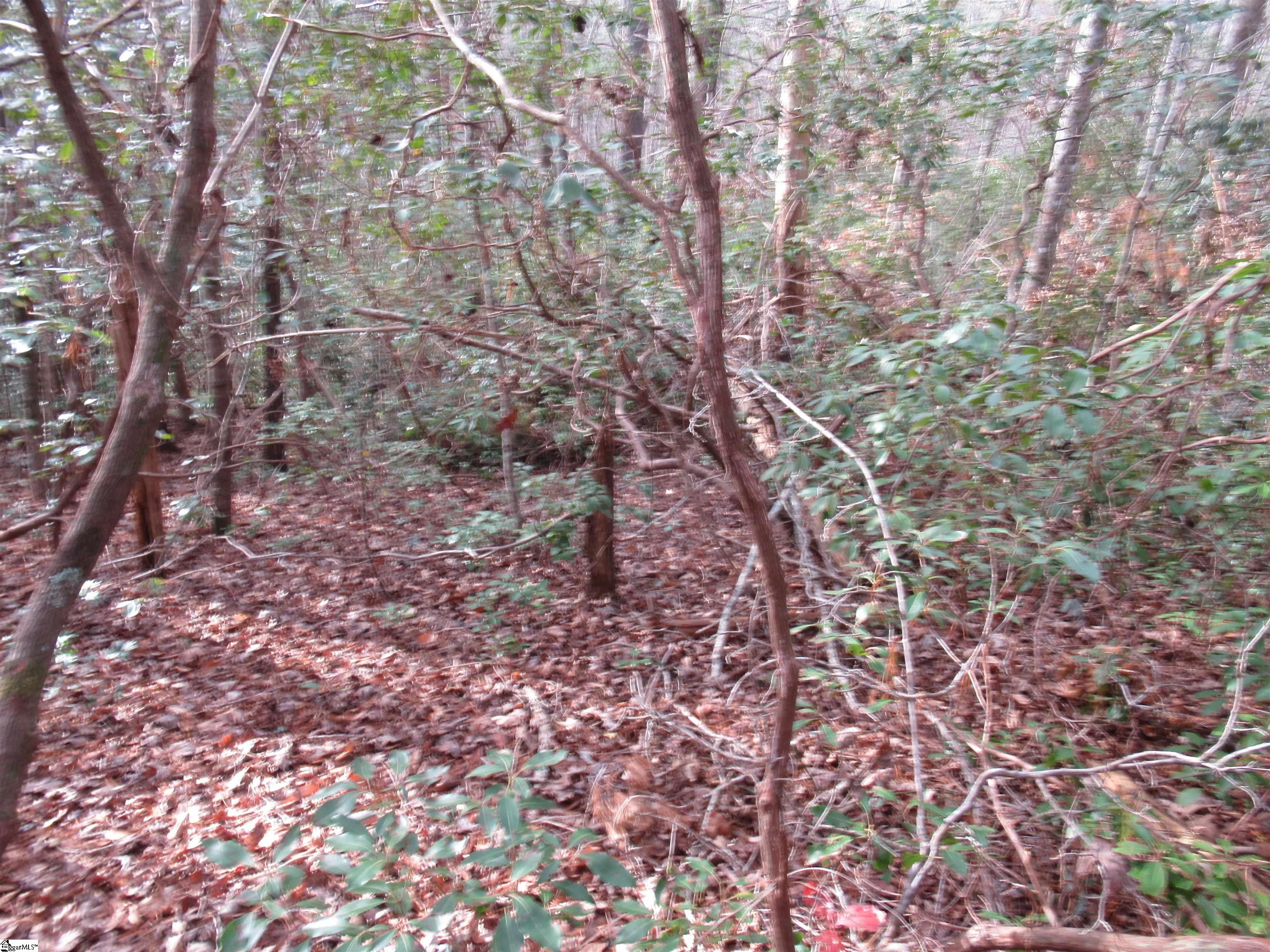 213 Falcon Crest Way Pickens, SC 29671 - Photo 8 of 25