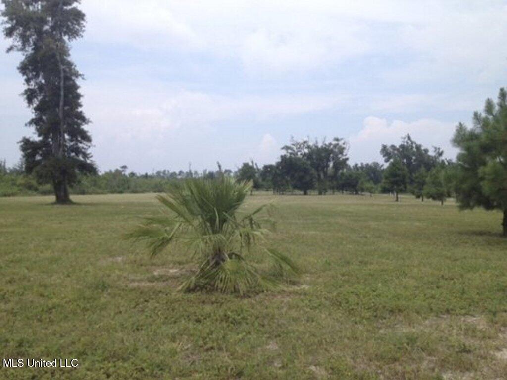 26300 Highway 90 Pass Christian, MS 39571 - Photo 6 of 7 06-Photo 6